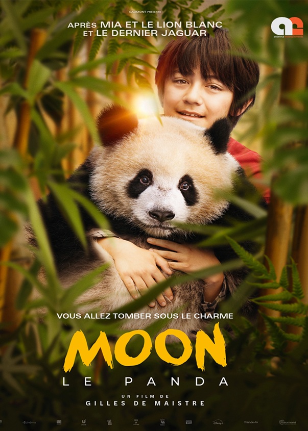 MOON THE PANDA